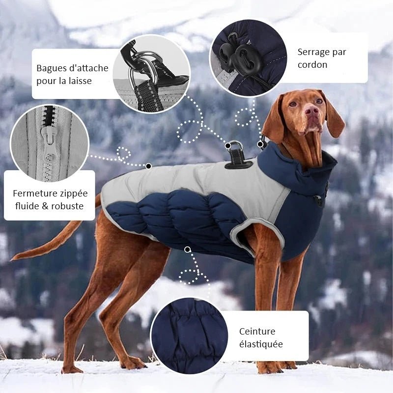 Manteau pour Dobermann / Grand chien