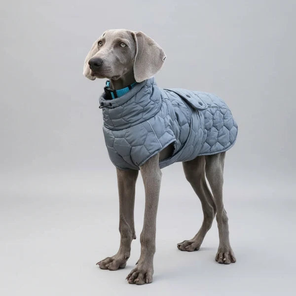 Manteau Chaud Et Résistant Pour Grand Chien