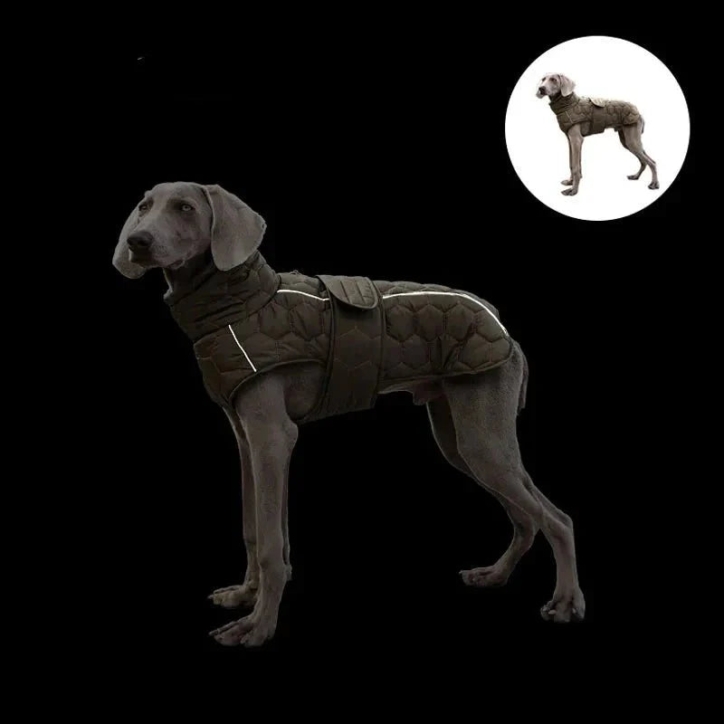 Manteau Chaud Et Résistant Pour Grand Chien