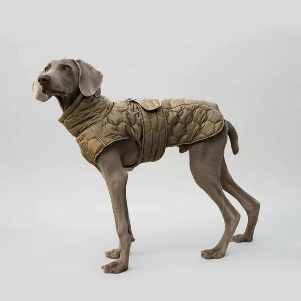 Manteau Chaud Et Résistant Pour Grand Chien