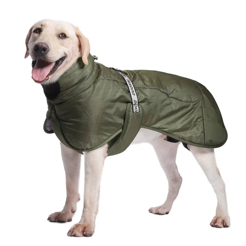 Manteau pour Gros Chien