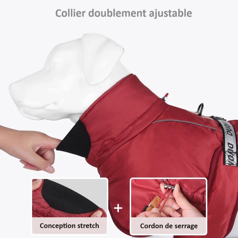Manteau pour Gros Chien