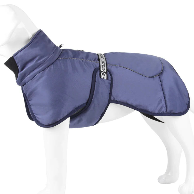 Manteau pour Gros Chien