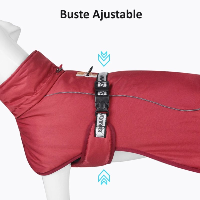 Manteau pour Gros Chien