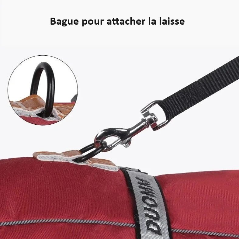 Manteau pour Gros Chien