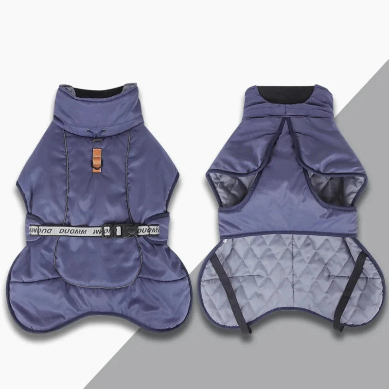 Manteau pour Gros Chien