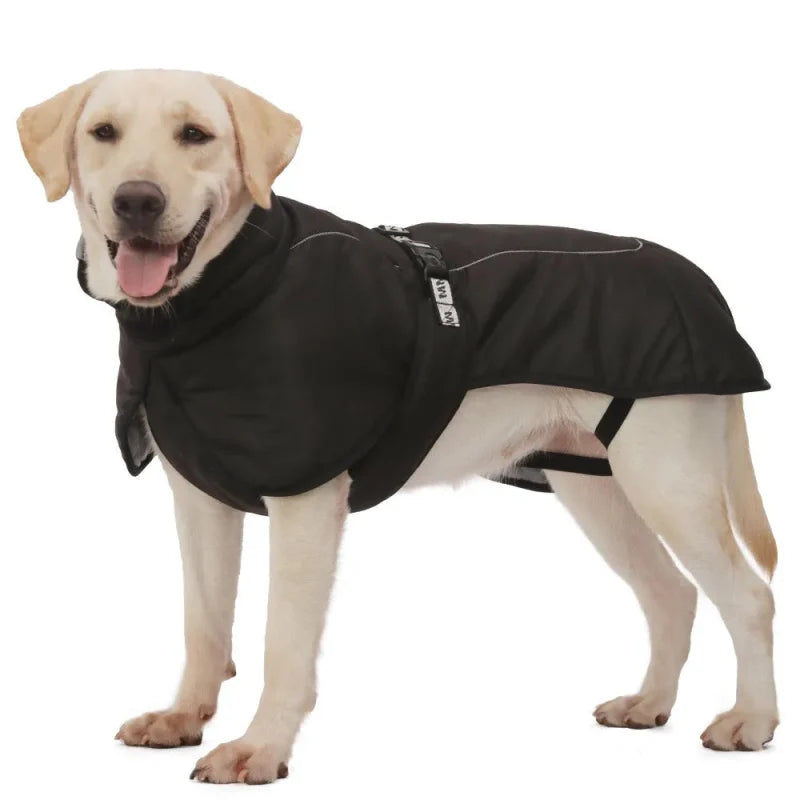 Manteau pour Gros Chien