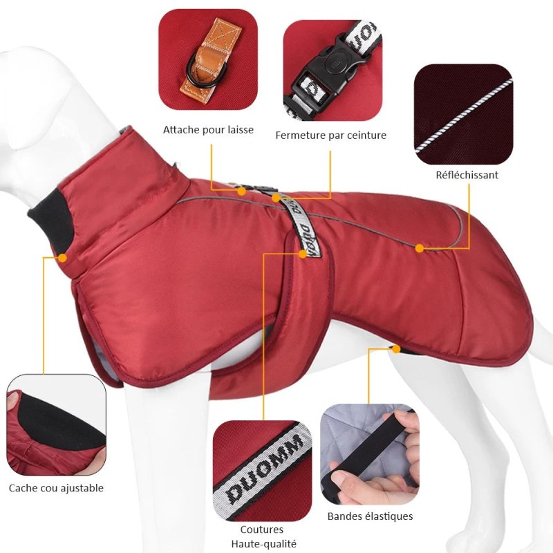 Manteau pour Gros Chien
