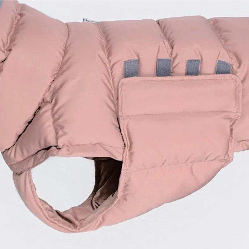 Manteau pour Lévrier & chien moyen
