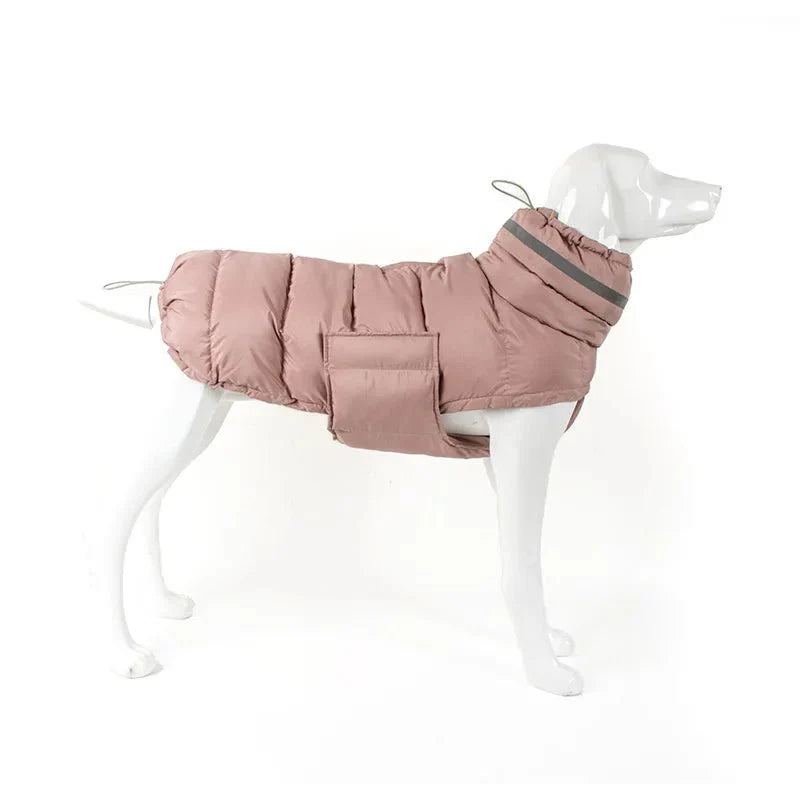 Manteau pour Lévrier & chien moyen