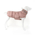 Manteau pour Lévrier & chien moyen