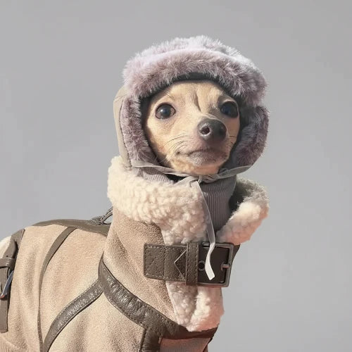 Manteau Hiver Fausse Fourrure Pour Lévrier