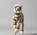 Manteau pour lévrier fausse fourrure avec capuche et ceinture, parfait pour l'hiver.