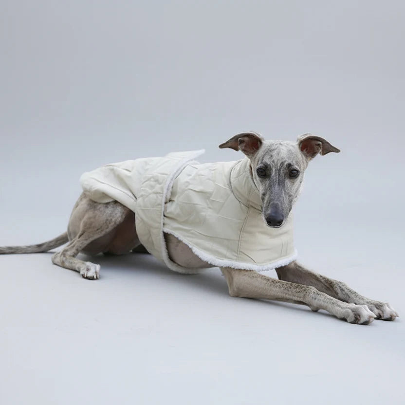 Manteau Doux Pour Chien Lévrier Et Whippet