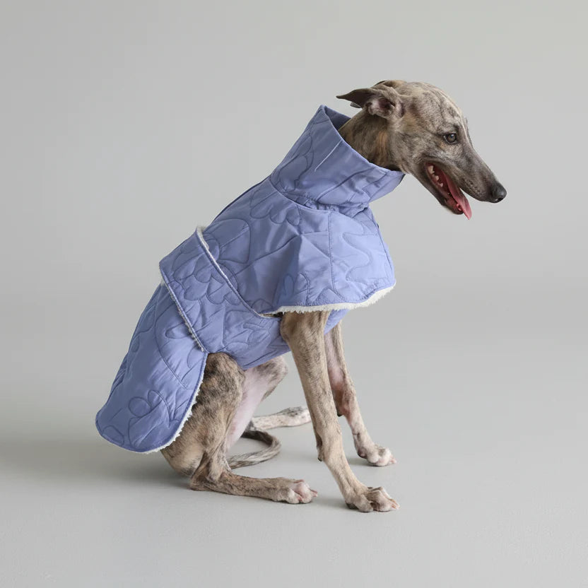 Manteau pour lévrier whippet en bleu avec doublure douillette et col montant pour l'hiver