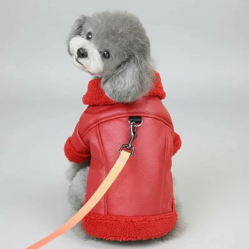 Manteau Pour Petit Chien En Simili Cuir Et Fausse Fourrure