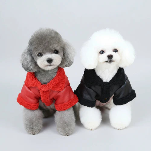 Manteau Pour Petit Chien En Simili Cuir Et Fausse Fourrure