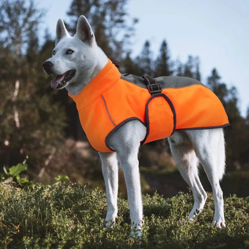 Manteau pour Rottweiler & Gros chien