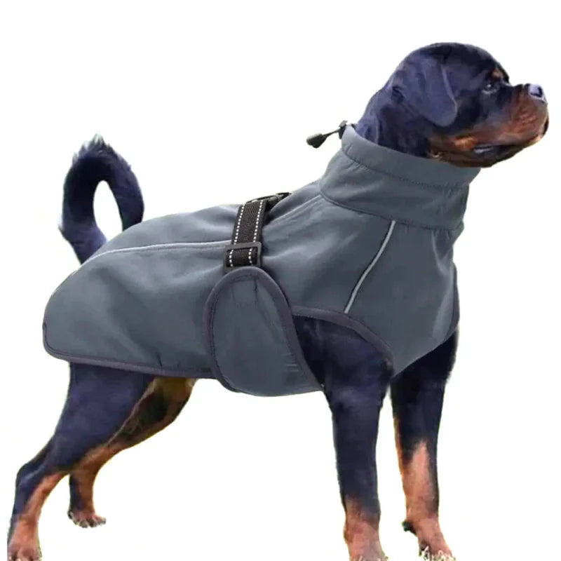 Manteau pour Rottweiler & Gros chien