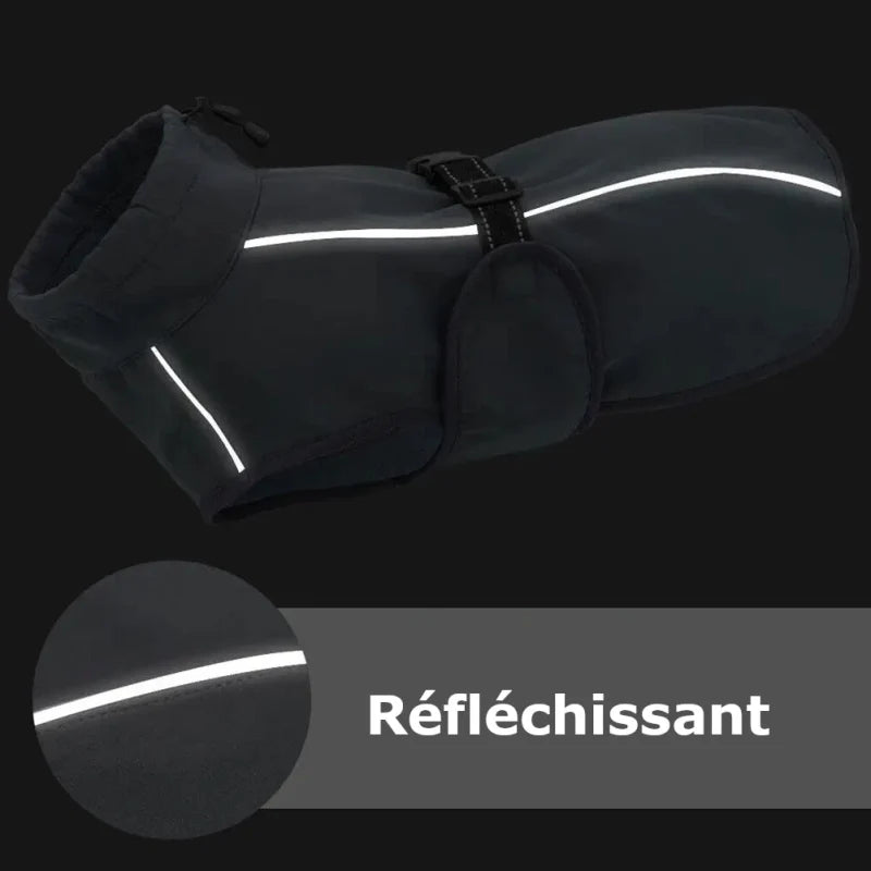 Manteau pour Rottweiler & Gros chien