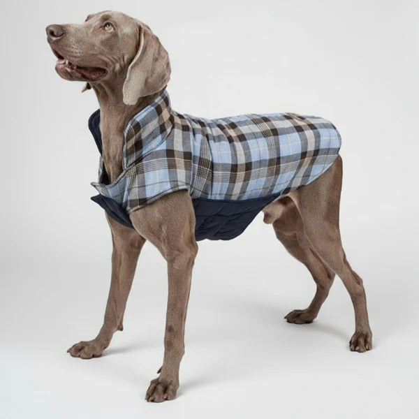 Manteau Réversible Chaud Et Stylé Pour Chien