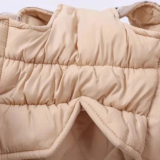 Manteau Réversible Chaud Et Stylé Pour Chien