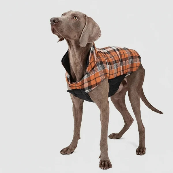 Manteau Réversible Chaud Et Stylé Pour Chien