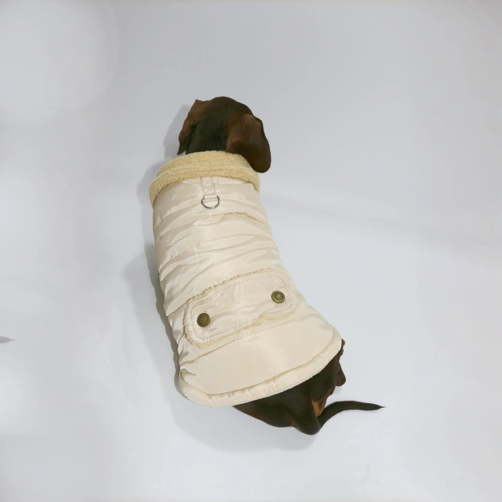 Manteau Teckel Pour Confort Optimal