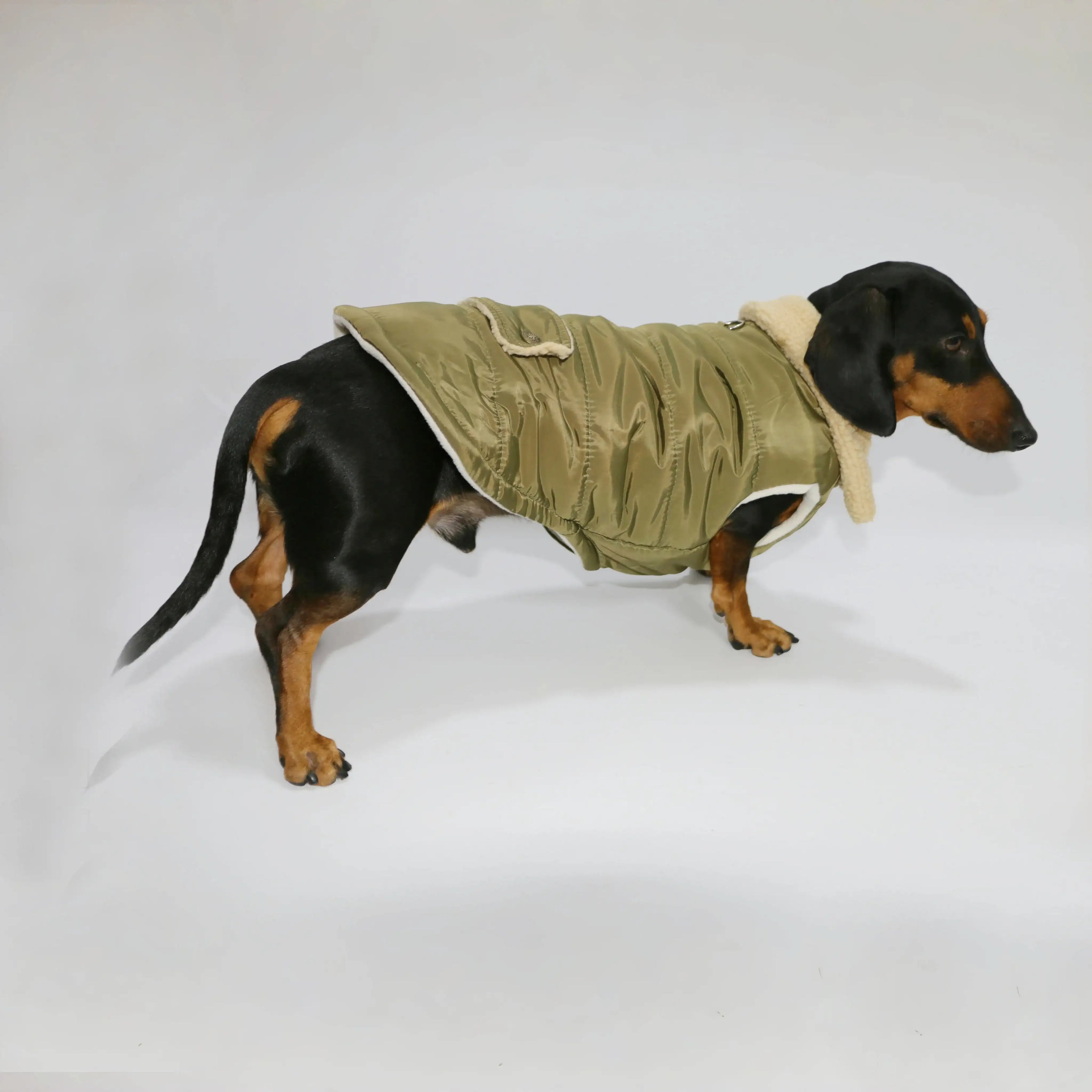 Manteau Teckel Pour Confort Optimal