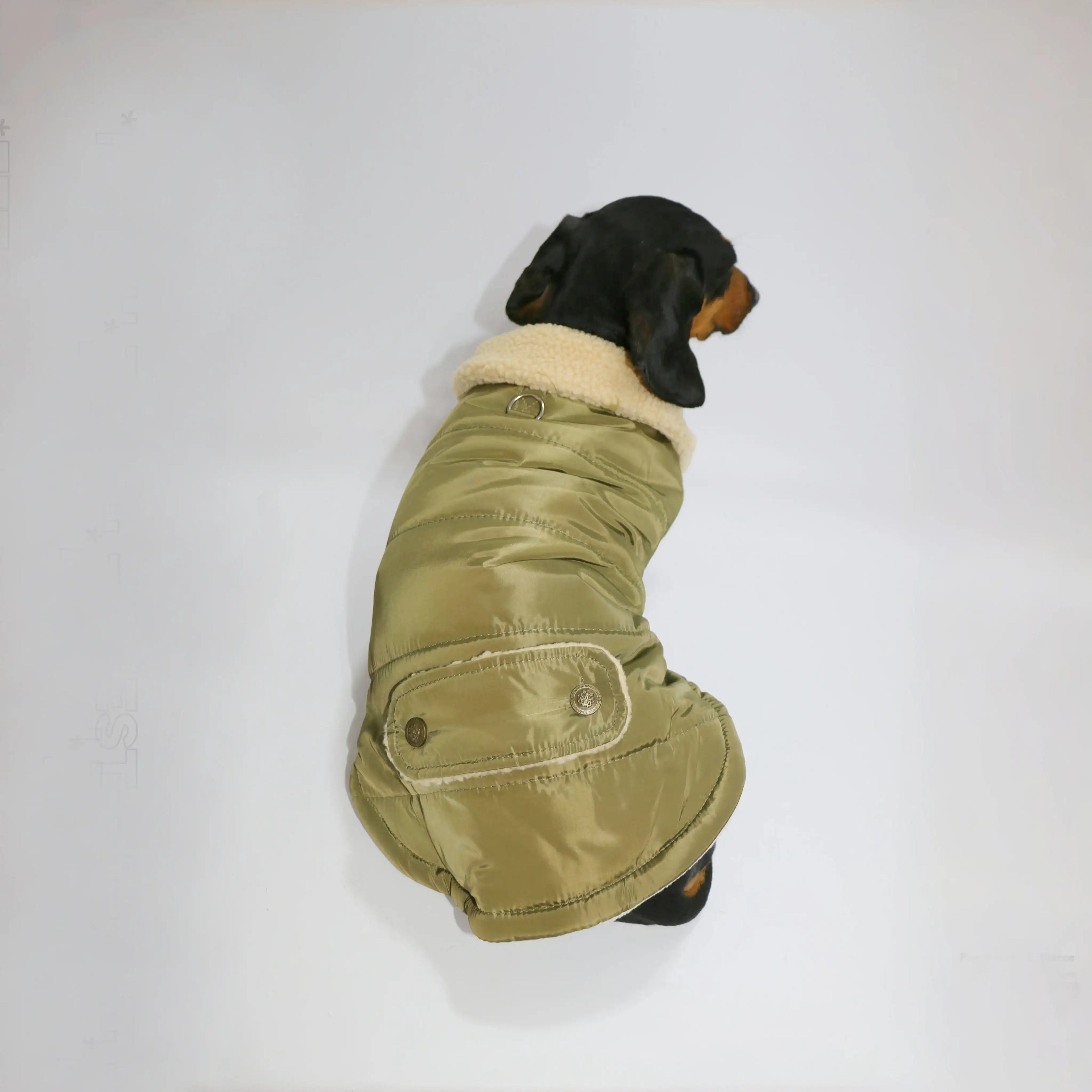 Manteau Teckel Pour Confort Optimal