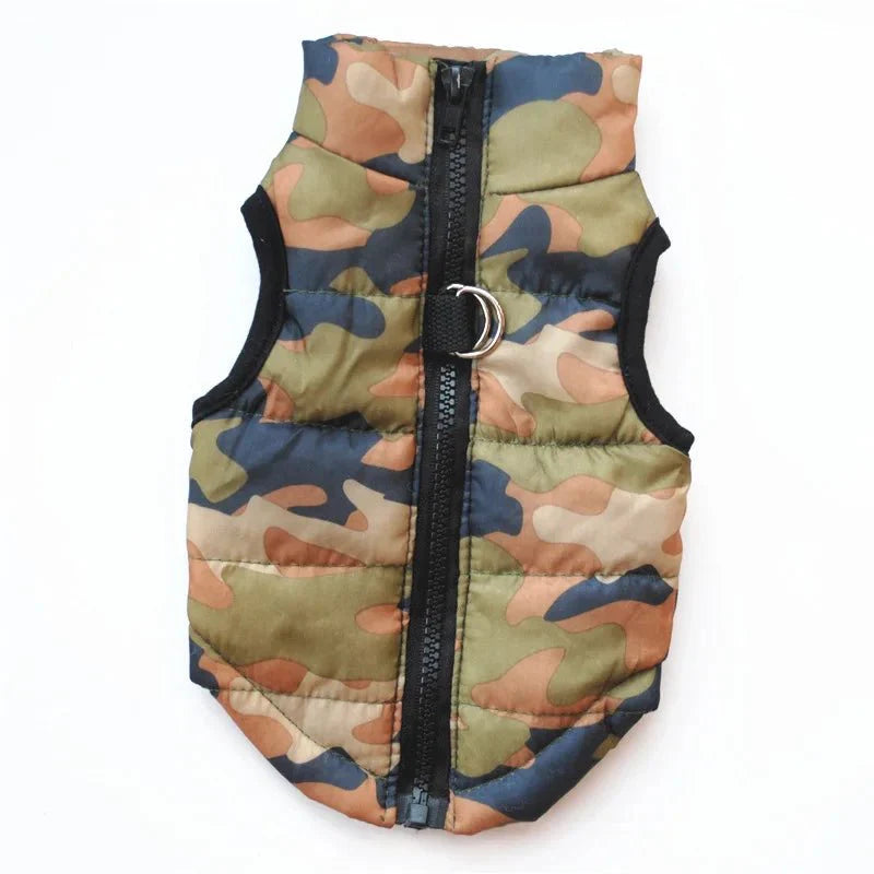 Manteau US Army Chien