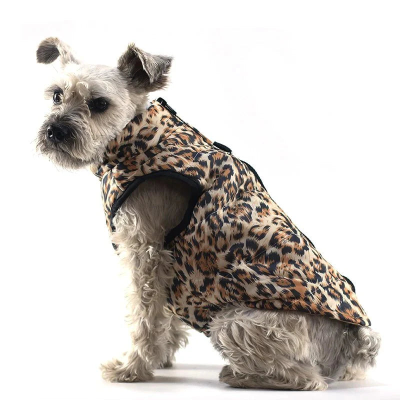 Manteau US Army Chien