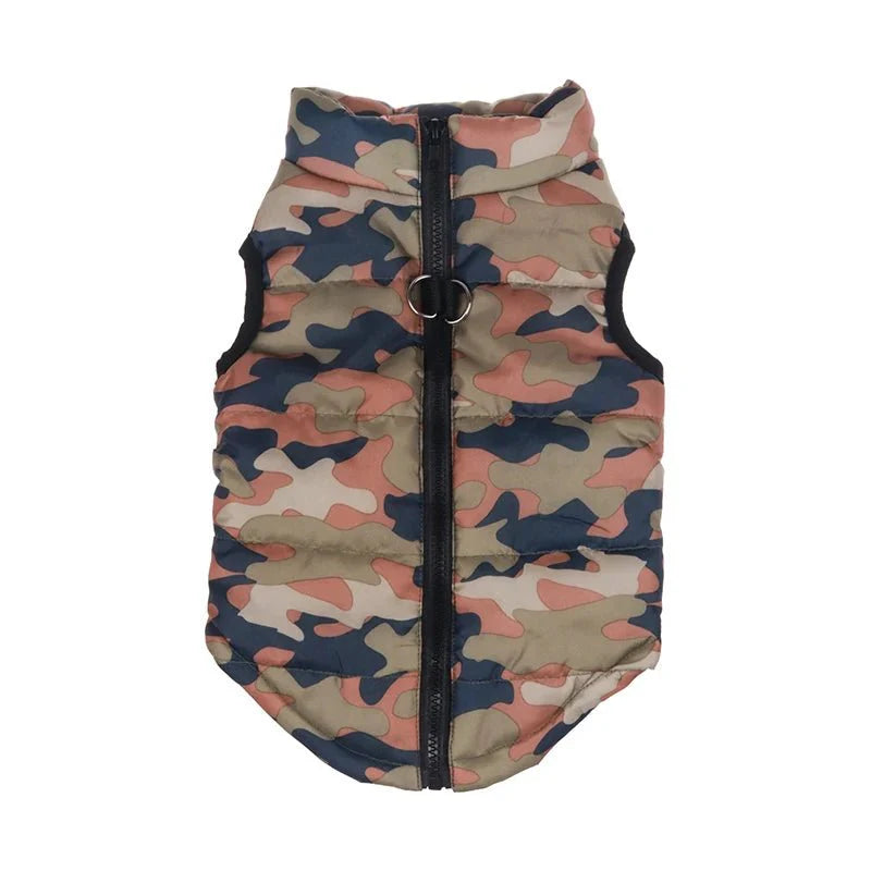 Manteau US Army Chien