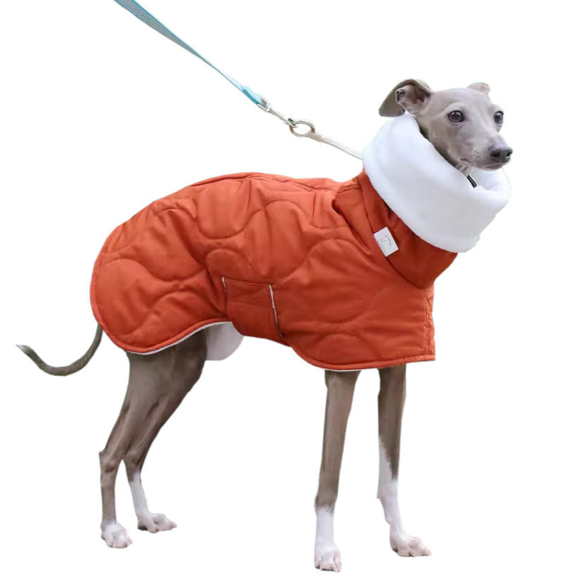 Manteau Chien Whippet