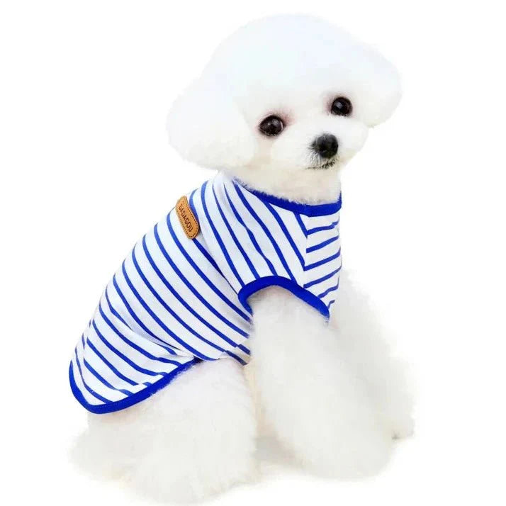 Marinière pour Chien
