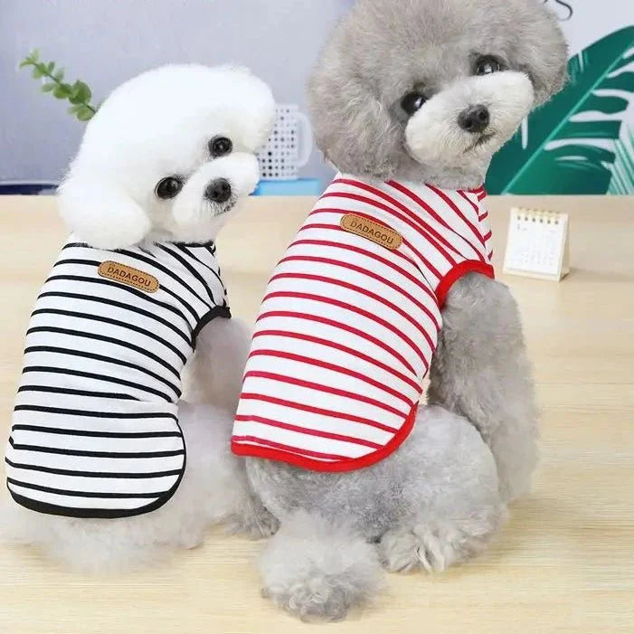 Marinière pour Chien