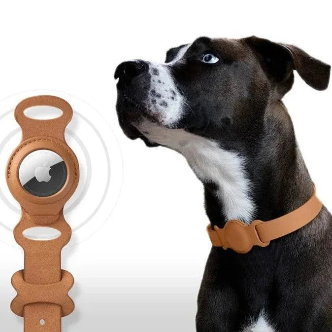 Collier AirTag pour chat Oscar & Plume, cuir synthétique réglable et sécurisé