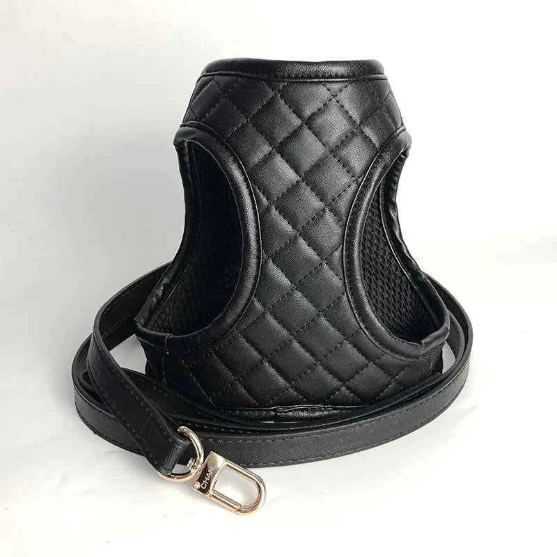Harnais réglable pour petit chien en cuir noir matelassé avec laisse assortie par Oscar et Plume