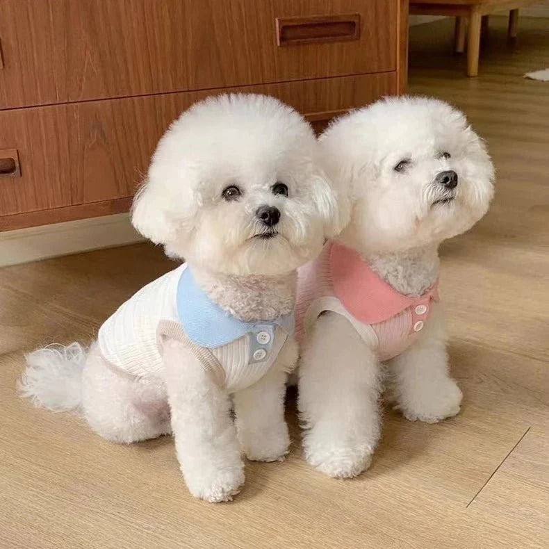 T-Shirt Chien Col Rond En Coton Doux