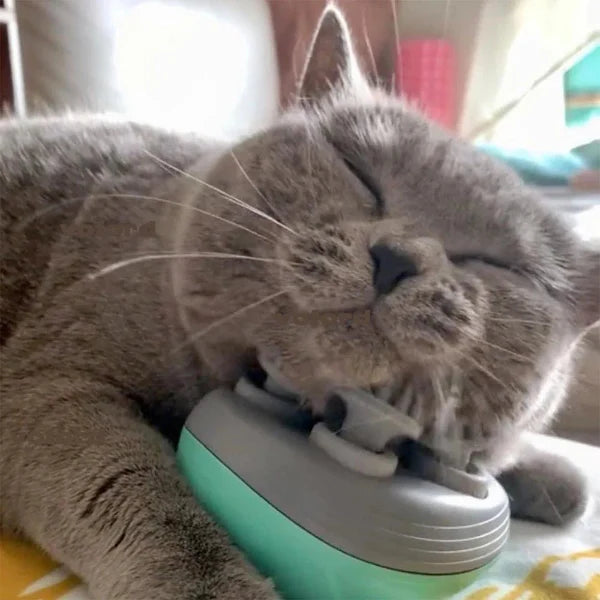 Masseur Electrique Pour Chien Et Chat