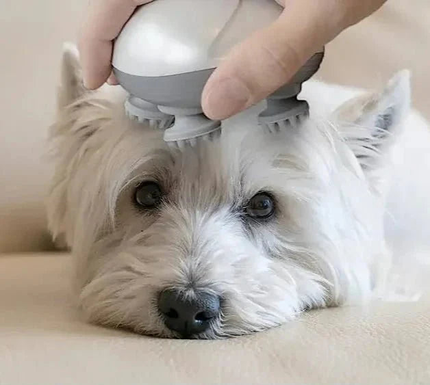 Masseur Electrique Pour Chien Et Chat