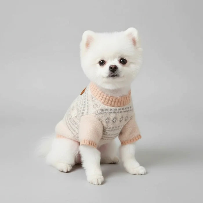 Pull  Chaud Pour Petit Chien Et Chat