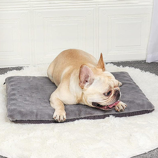 Matelas pour chien ConfortZen™ | Coussin chien déhoussable