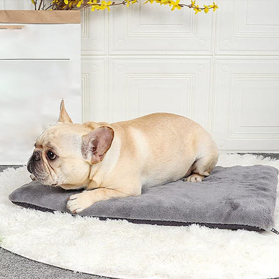 Matelas pour chien ConfortZen™ | Coussin chien déhoussable