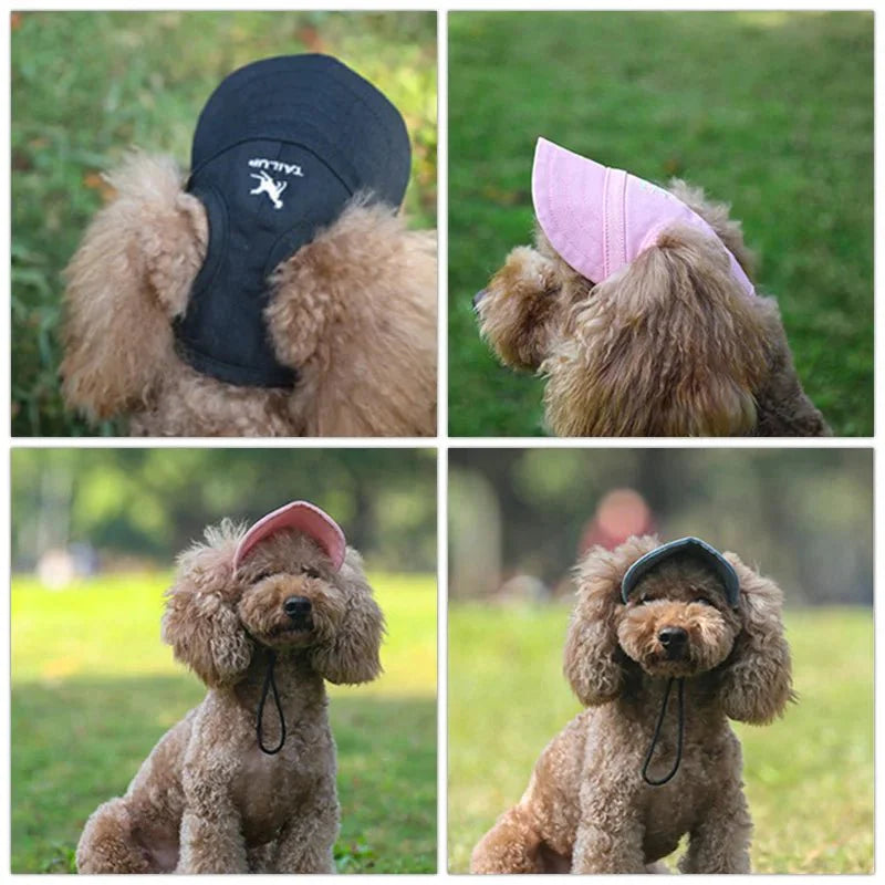 Mini Casquette Chien