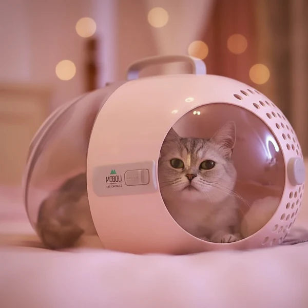 Sac De Transport Transparent Pour Chat