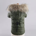Doudoune imperméable chien verte avec capuche à fourrure pour protection contre la pluie et le froid