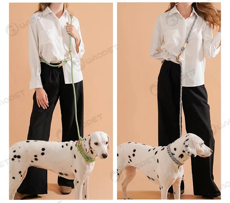 Laisse Mains Libres Multi Fonctions Pour Chien