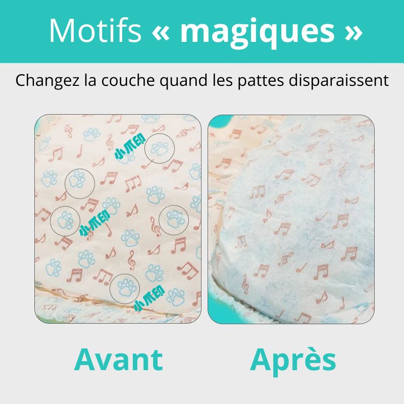 Couches Jetables pour Chien (10 Pcs)