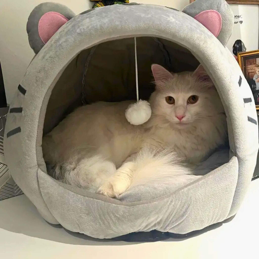 NICHE A CHAT | Le Palais des Ronrons